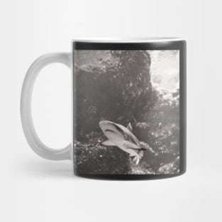 B&W Smile Shark Mug